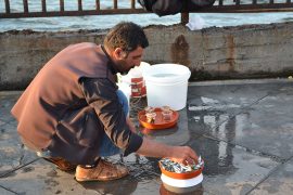 stambul16
