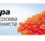 печать наклеек киев